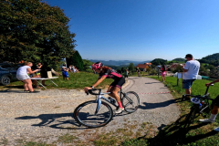 viber_image_2023-09-11_13-53-49-592