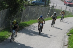 Slika 1 (208)1