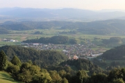 Koreno 2011 tekači
