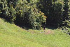 IMG_0002a