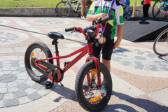 viber_image_2024-09-07_18-42-36-762a